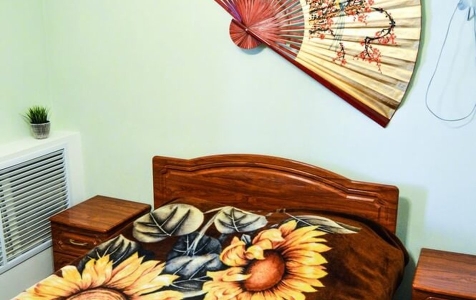 Дом 2-местный 2-комнатный VIP-домик  ( № 1,2,3,4), фото 6