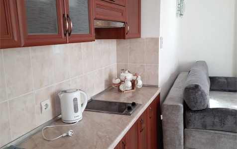 Люкс 4-местный 2-комнатный, фото 5