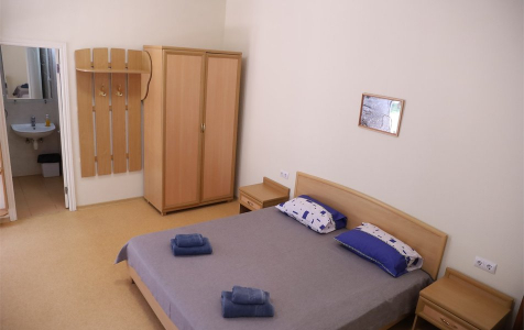 Стандарт 3-местный 1-комнатный корпус 5, фото 3