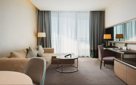 Люкс Супериор 2-местный 2-комнатный Garden View, фото 2