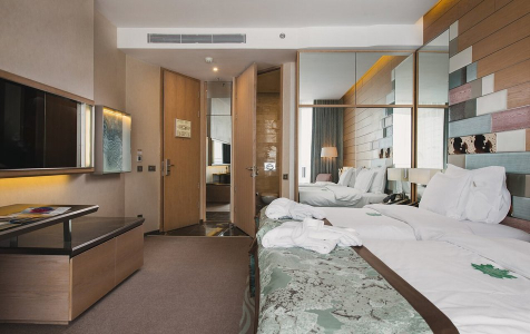 Делюкс 2-местный для людей с ограниченными возможностями, фото 2