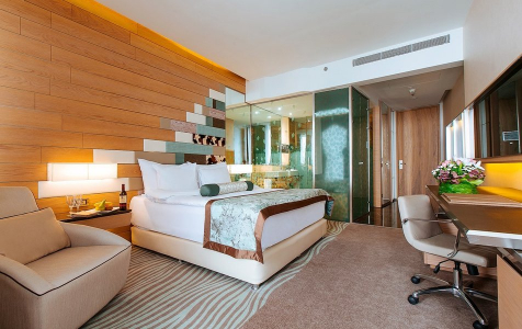 Делюкс Connect Garden View 4-местный, фото 3