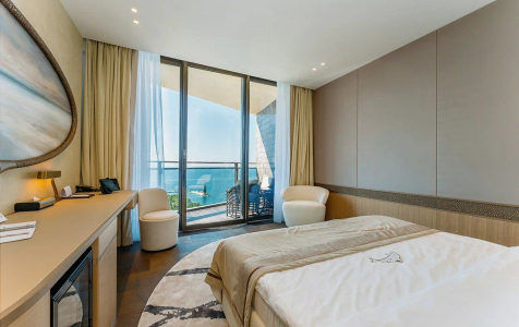 Делюкс Premier 2-местный, фото 2