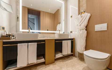 Делюкс Premier 2-местный, фото 3