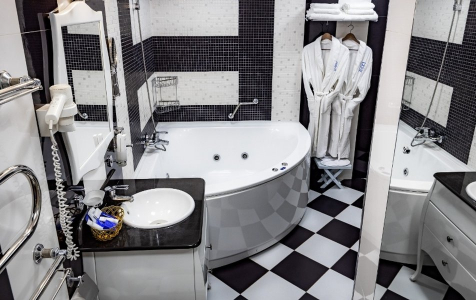 Люкс Люкс «Президентский», фото 3