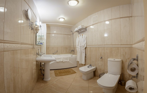 Люкс Люкс «Комфорт», фото 3