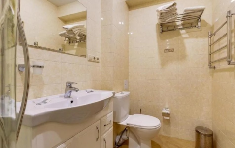 Делюкс 3-местный (делюкс) , фото 2