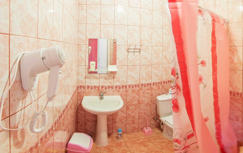 Комфорт 3-местный с верандой, фото 2