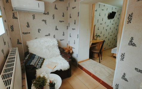 Стандарт Плюс 3х местный стандарт-плюс с видом на бассейн (цокольный этаж), фото 4