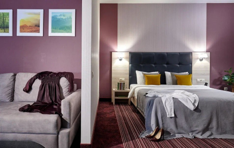 Представительский люкс 2-местный, фото 3