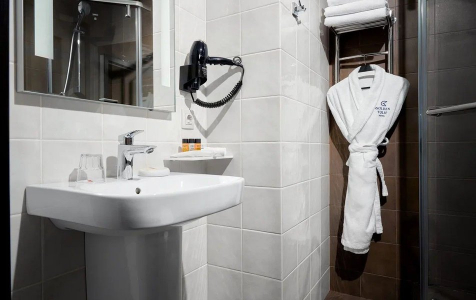 Представительский люкс 2-местный, фото 5