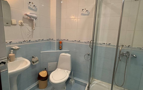 Стандарт 2-местный с балконом, фото 4