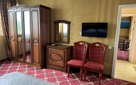 Пентхаус 2-местный 2-комнатный с террасой, фото 2