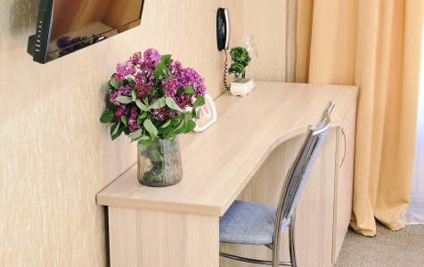 Комфорт 3-местный с балконом, фото 2