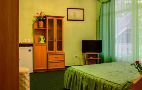 Полулюкс 2-местный 1-комнатный с видом на горы, фото 7