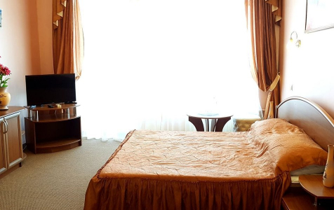 Полулюкс 3-местный с балконом, фото 4