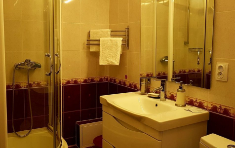 Полулюкс 3-местный 1-комнатный с террасой, фото 4