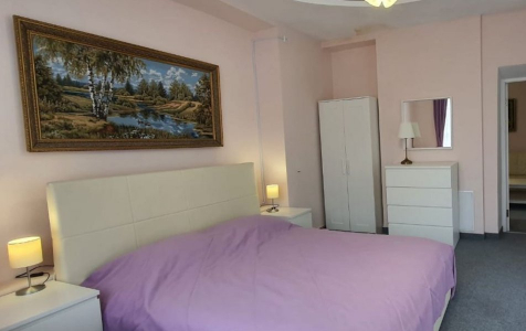 Апартаменты VIP 3-комнатные 8-местные с кухней, фото 5