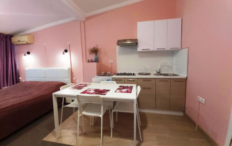 Студия 2-местный 1-комнатный с кухней (7 этаж), фото 4