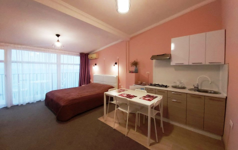 Студия 2-местный 1-комнатный с кухней (7 этаж), фото 5