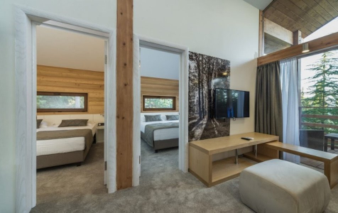 Коттедж новый 2-местный (спальня, кухня-студия, терраса), фото 2