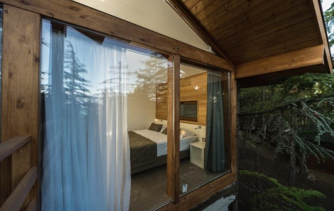 Коттедж новый 2-местный (спальня, кухня-студия, терраса), фото 5