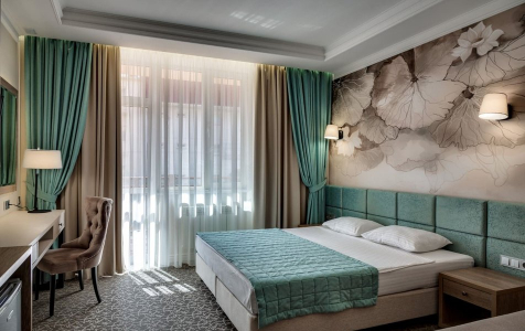 Делюкс 2-местный 1-комнатный (основной корпус), фото 2