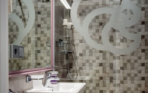 Делюкс 4-местный 1-комнатный (основной корпус), фото 8