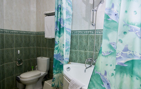 Люкс семейный, фото 3