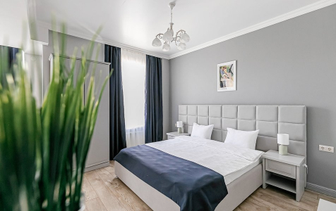 Люкс Люкс 4-местный 2 комнатный, фото 6