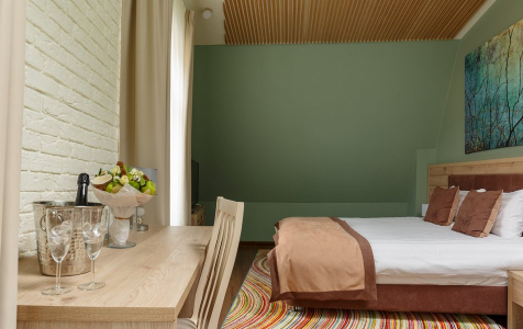 Полулюкс 2-местный, фото 3