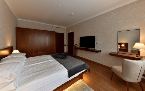 Президентский люкс 2 местный , фото 2