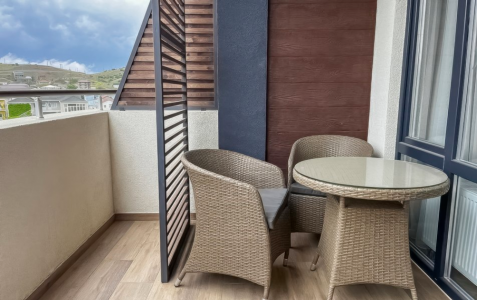 Deluxe 2-местный 1-комнатный, фото 6