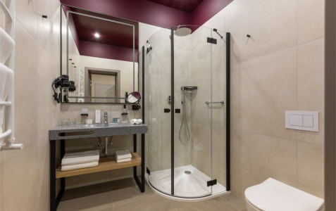 Люкс 2-местный Семейный, фото 4