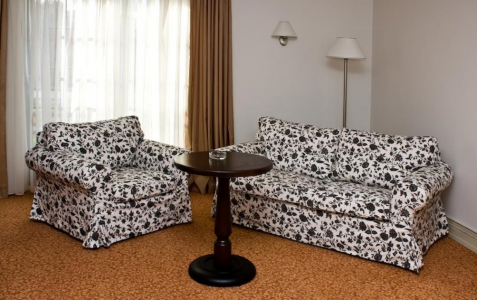 Полулюкс 2-местный 1-комнатный DBL, фото 2