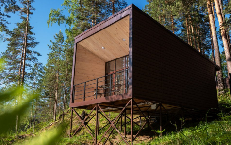 Бунгало 2-местный (вид на лес), фото 4