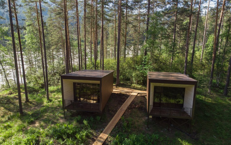 Бунгало 2-местный (вид на лес), фото 5