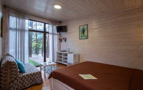 Бунгало 2-местный (терраса), фото 2