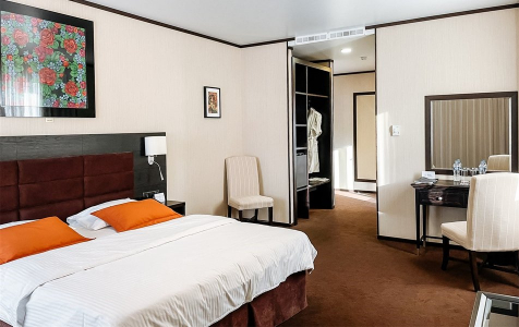 Люкс 2 местный 2 комнатный, фото 2