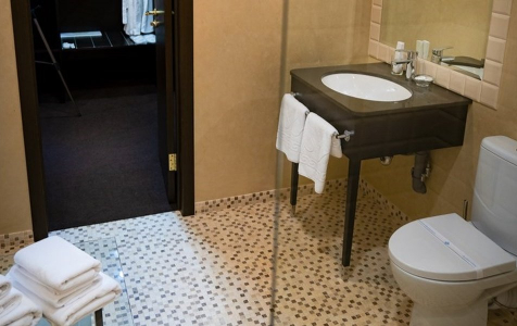 Улучшенный 2-местный ТВИН, фото 3