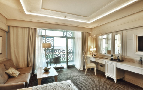 Стандарт 2-местный вид на Волгу, фото 2