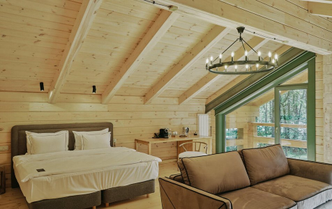 Делюкс 4-местный 2 этажный Шале, фото 2