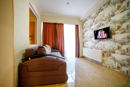 Студия Семейная с кухней и террасой, фото 5