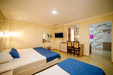 Студия Семейная с кухней и террасой, фото 2