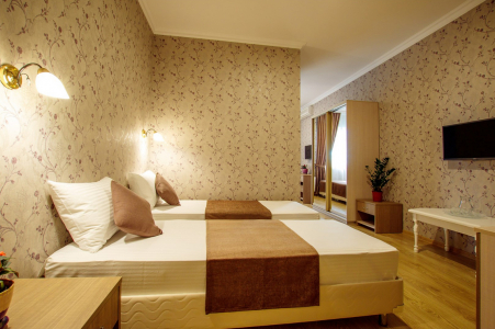 Стандарт 4-местный с террасой, фото 4