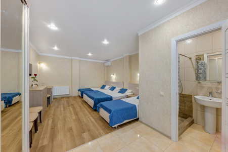 Стандарт 4-местный с террасой, фото 2