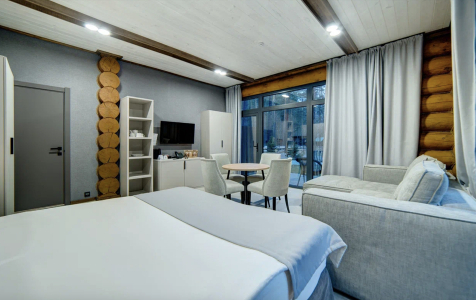 Стандарт+ 2-местный, фото 2