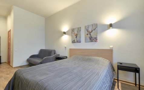 Стандарт+ 2-местный, фото 3