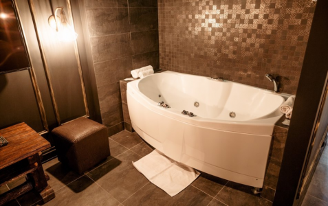 Номер VIP 2-местный, фото 4