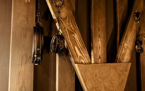 Номер VIP 2-местный, фото 3